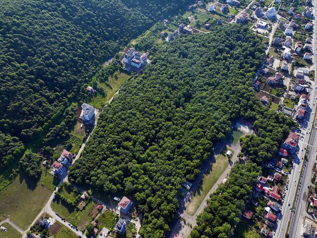 Vay be, Samsun'un böyle bir yeri varmış! Adeta cennetten bir köşe, gelip görmeye değer 2